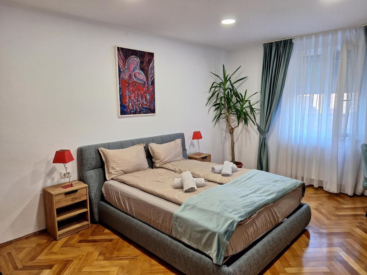 Black Eagle Central Unirii Square, 2 King Size Bedrooms, Free Private Parking أرادايا المظهر الخارجي الصورة