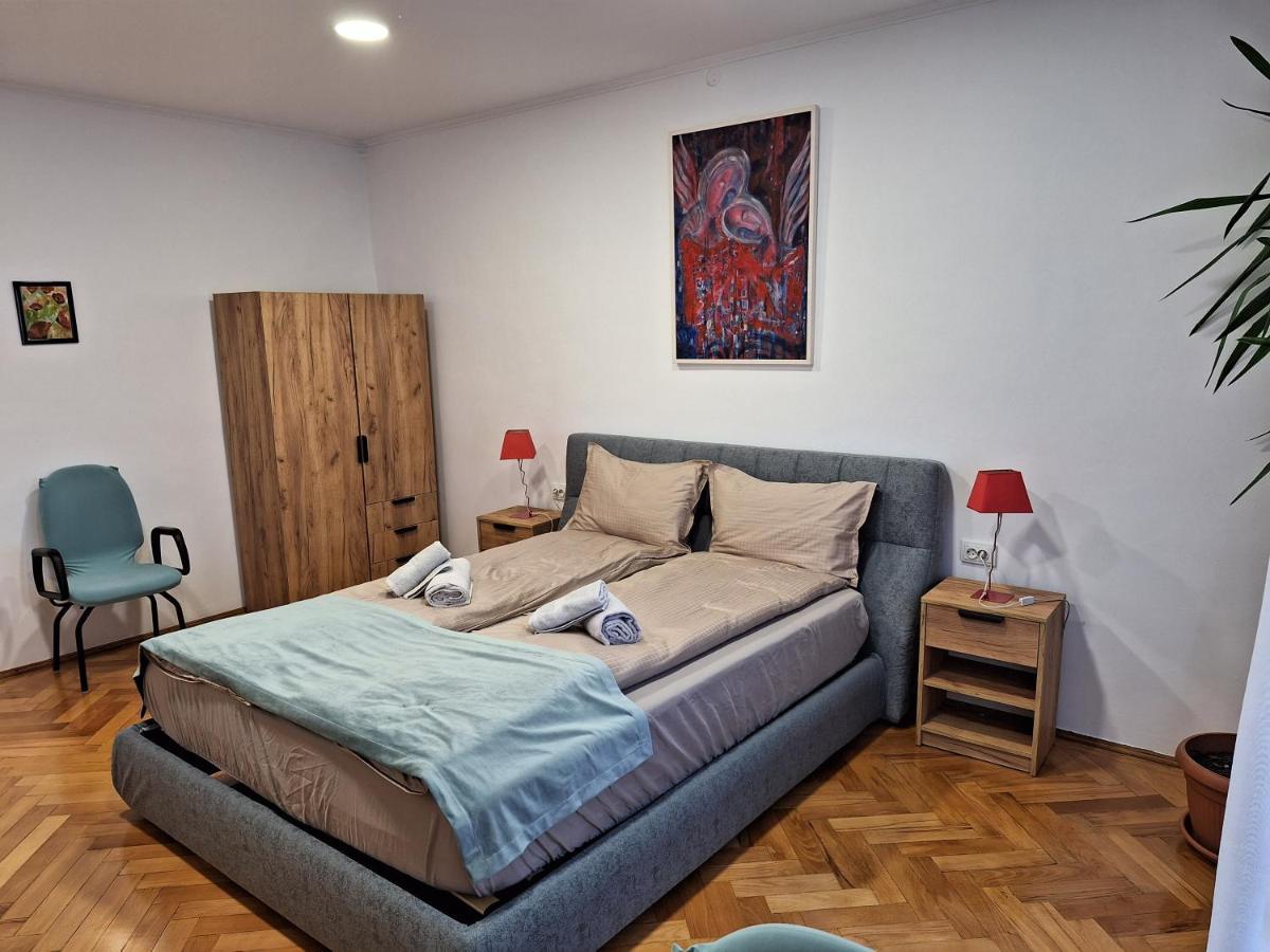Black Eagle Central Unirii Square, 2 King Size Bedrooms, Free Private Parking أرادايا المظهر الخارجي الصورة
